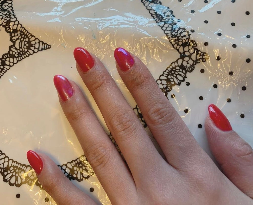 淨色甲片 (可重用)