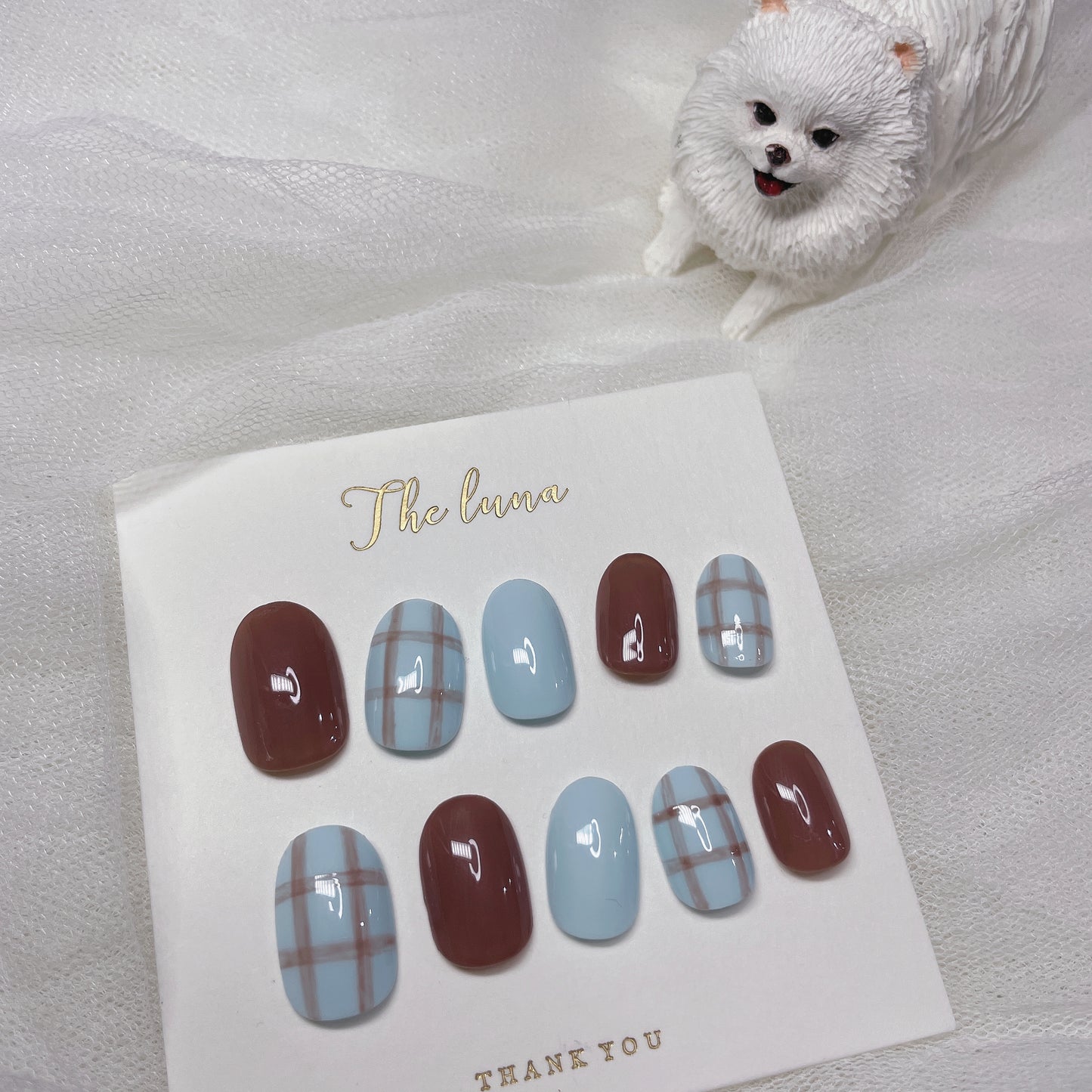 愛麗絲的可可 (可重用)